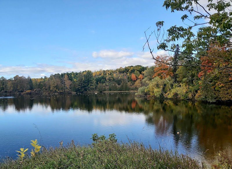 Norwood-Mill-Pond-Asphodel-Norwood-Township-Ontario