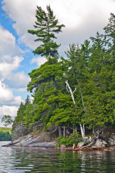 Big-Cedar-Lake-Township-Of-North-Kawartha-Ontario-10