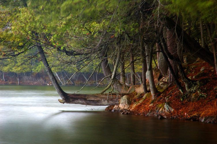 Big-Cedar-Lake-Township-Of-North-Kawartha-Ontario-11
