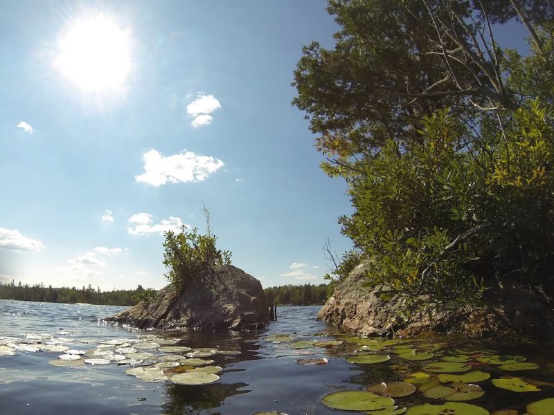 Big-Cedar-Lake-Township-Of-North-Kawartha-Ontario-2
