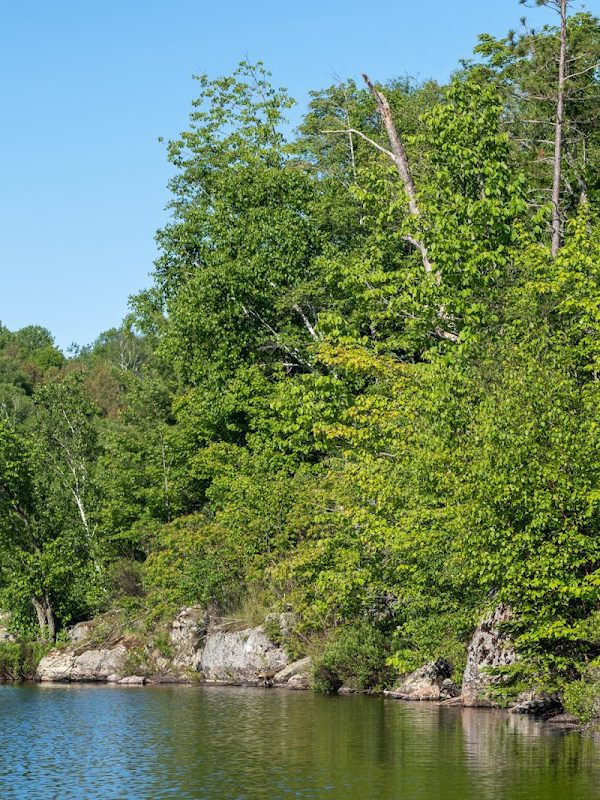 Haliburton Lake Ontario