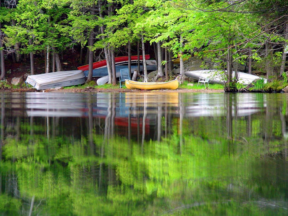 Big Cedar Lake Township Of North Kawartha Ontario