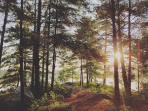 Wolf Lake, Kawarthas, Ontario