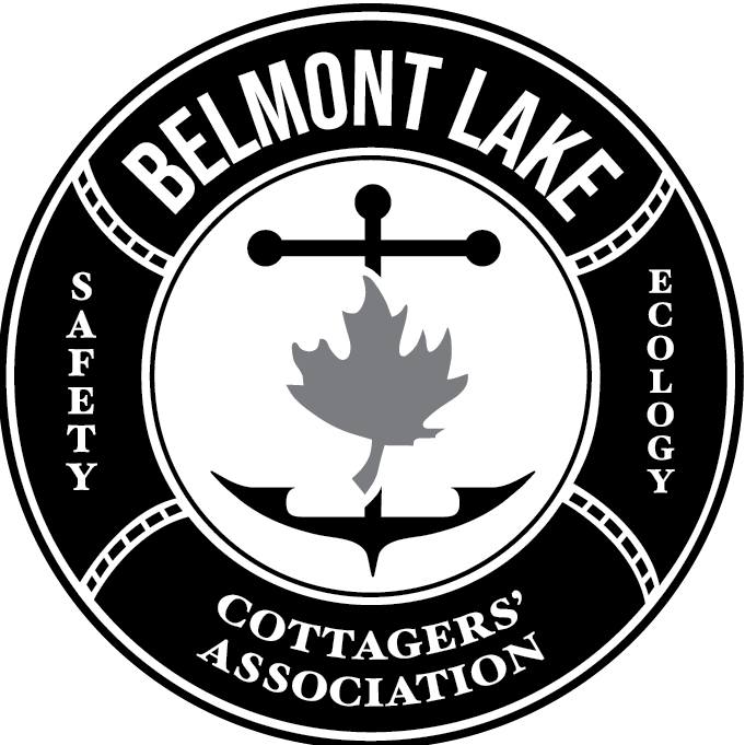 Belmont Lake