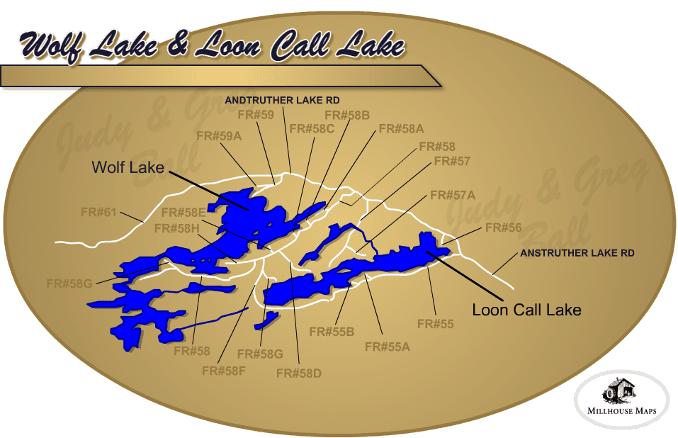 wolflooncall Anstruther Lake - Ontario