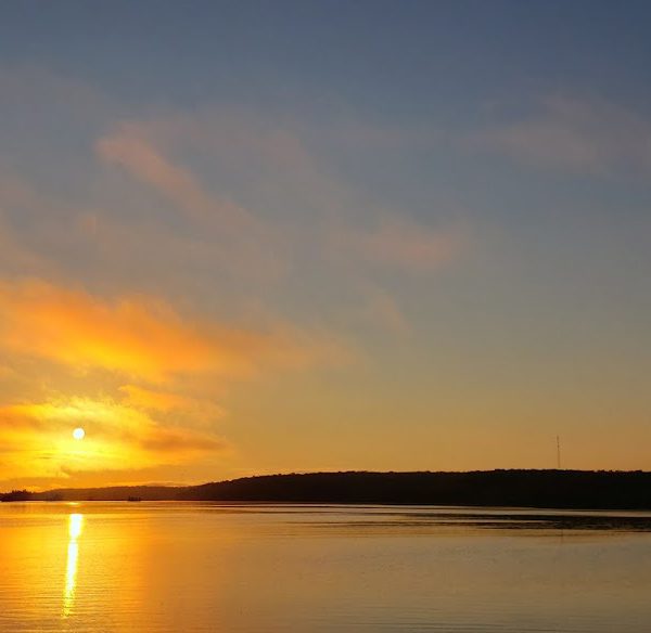 Lower Buckhorn Lake Deer Bay