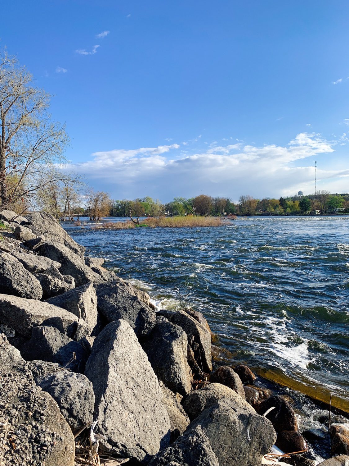 Trent River Ontario