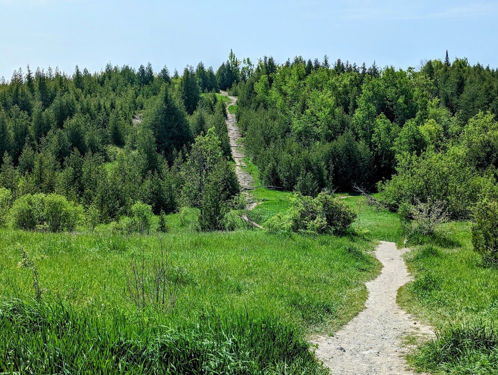 Harold Town Conservation Area Otonabee-South Monaghan Ontario