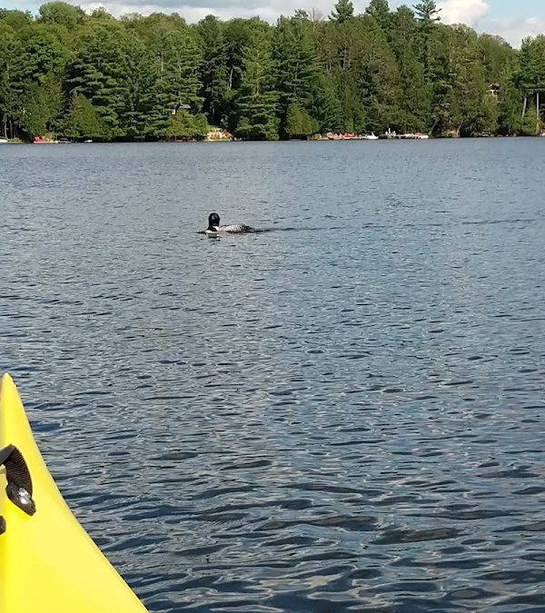 Soyers Lake