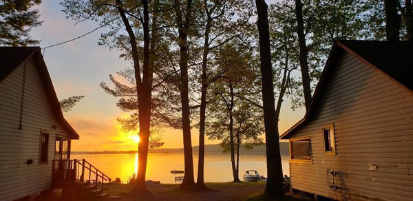 Lower Buckhorn Lake Deer Bay
