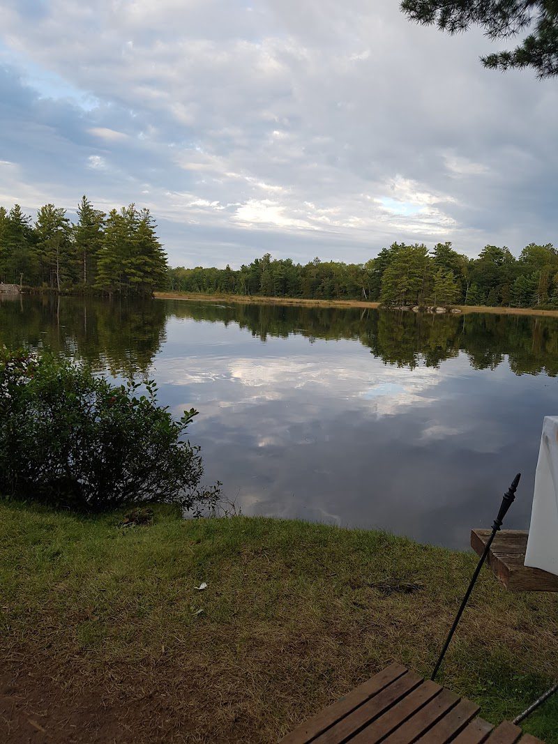 Coon Lake Township Of North Kawartha Ontario Anstruther Lake