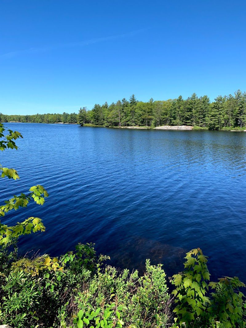 Loon Call Lake Kawarthas Ontario Loon Call Lake Kawarthas Ontario