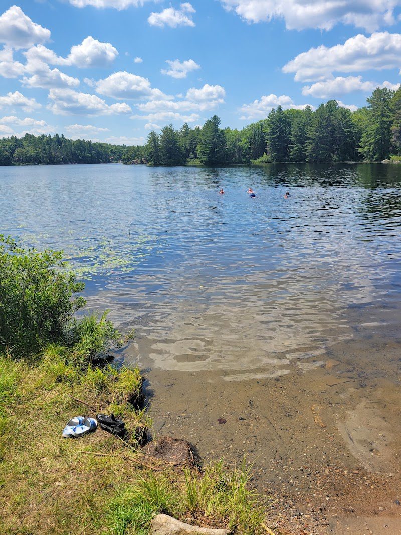 Loon Call Lake Kawarthas Ontario 5 Anstruther Lake