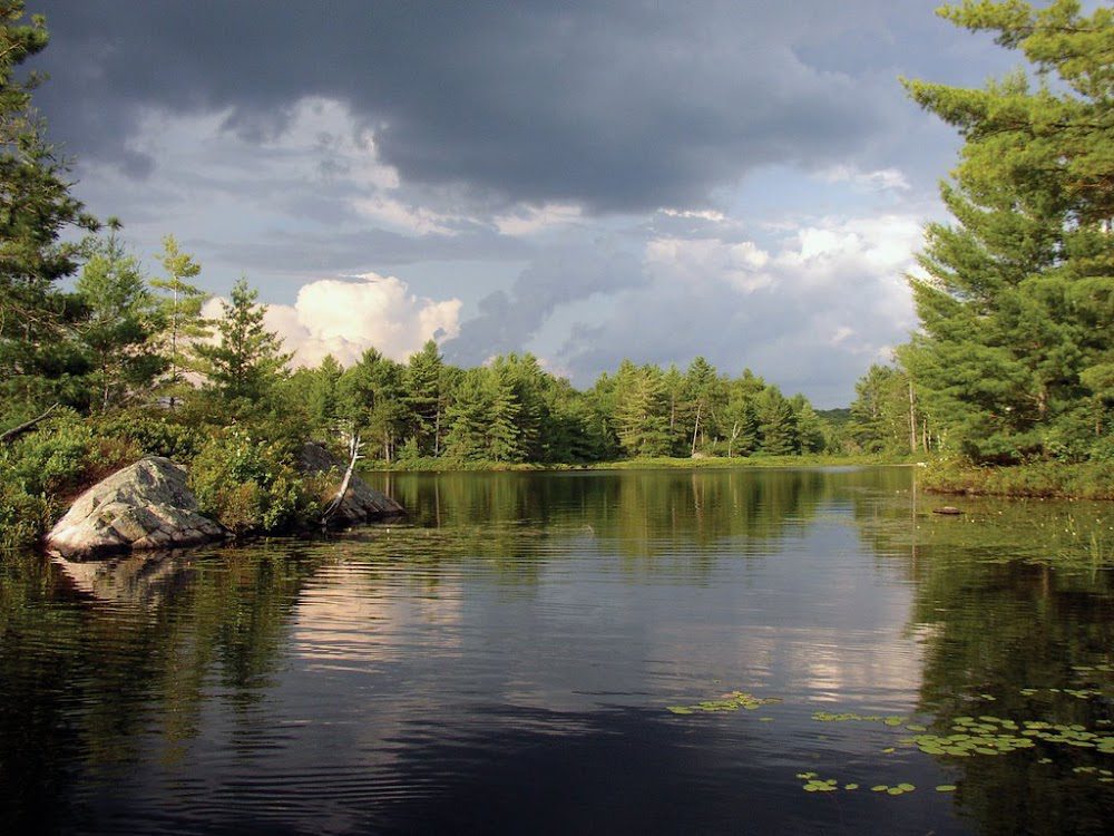 Loon Call Lake Kawarthas Ontario Loon Call Lake Kawarthas Ontario