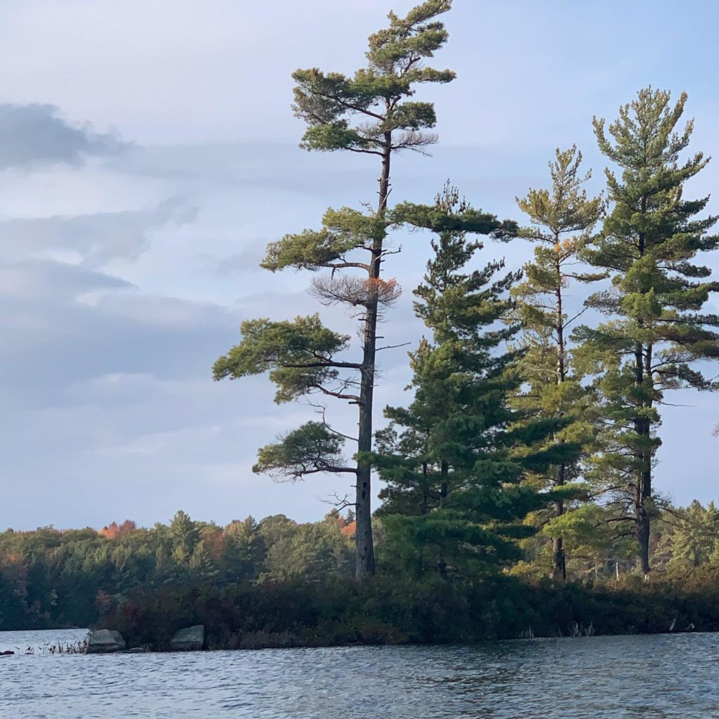 Wolf Lake, Kawarthas, Ontario Wolf Lake, Kawarthas, Ontario