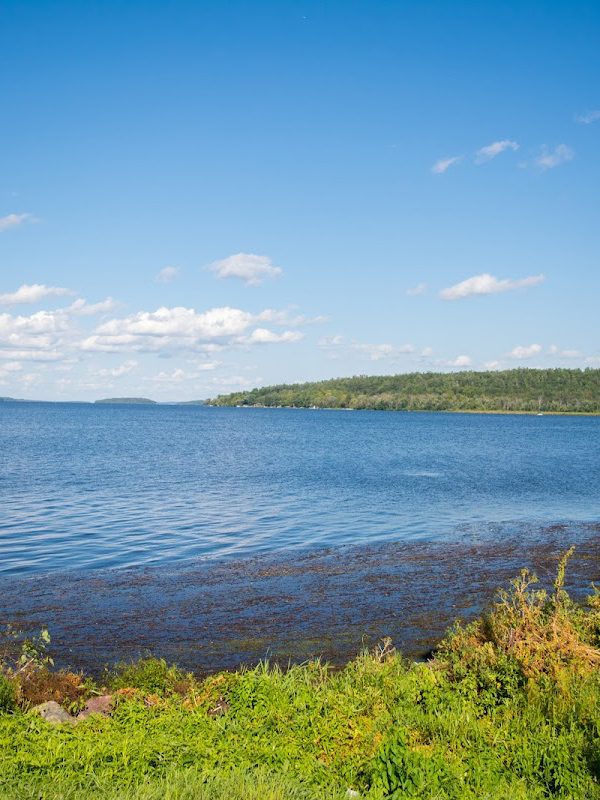 Rice Lake - Ontario Rice Lake - Ontario